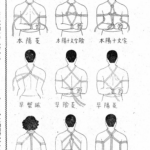 hojo4