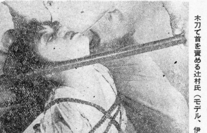 The Quality of Bondage Models, Part 2 (Translation) Kinbaku Today Home