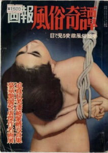 Cover of Gaho Fuzoku Kitan