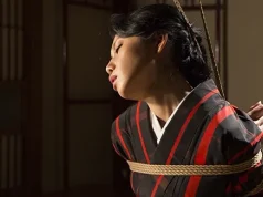 12 Years, 12 Pieces: The Story of Kinbaku Today