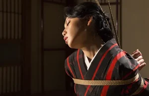 12 Years, 12 Pieces: The Story of Kinbaku Today Kinbaku Today Home