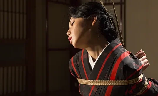 12 Years, 12 Pieces: The Story of Kinbaku Today Kinbaku Today Home